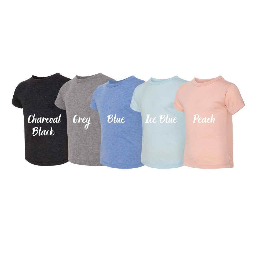 Toddler 2-5 year old Birthday Tee - 5 colors